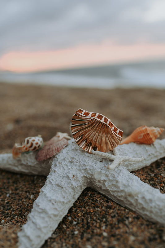 Concha de Mar Hair Clip