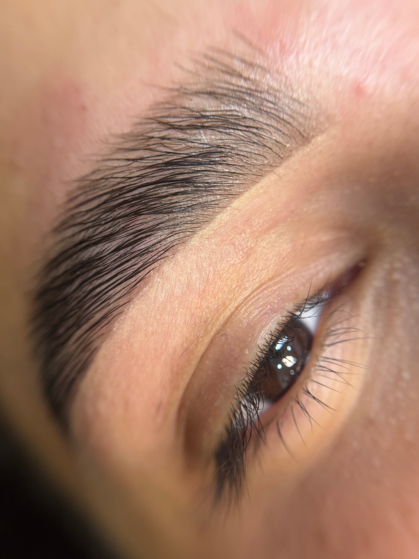 Lami Brows Sculpt Gel