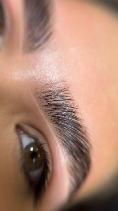 Lami Brows Sculpt Gel