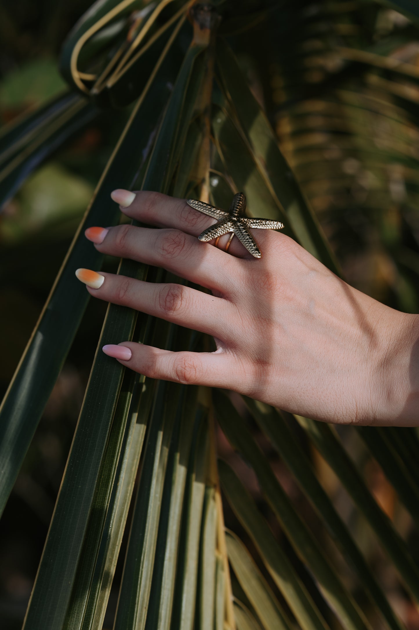 Anillo Estrella – The Secret Spot