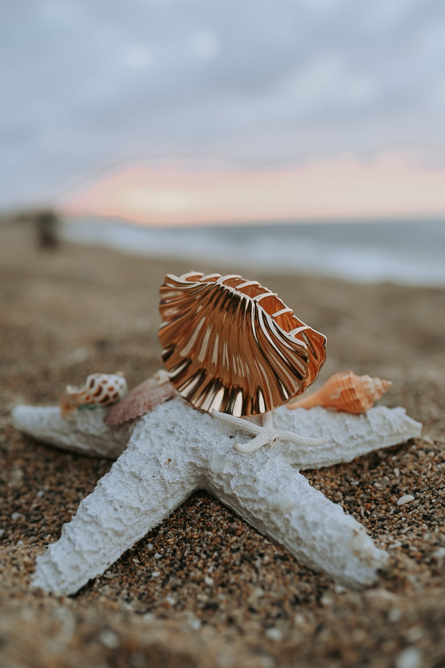 Concha de Mar Hair Clip